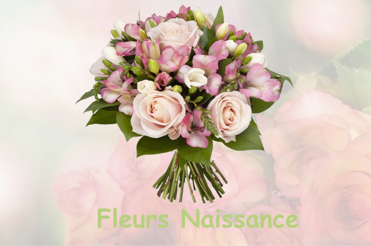 fleurs naissance LONGCHAUMOIS