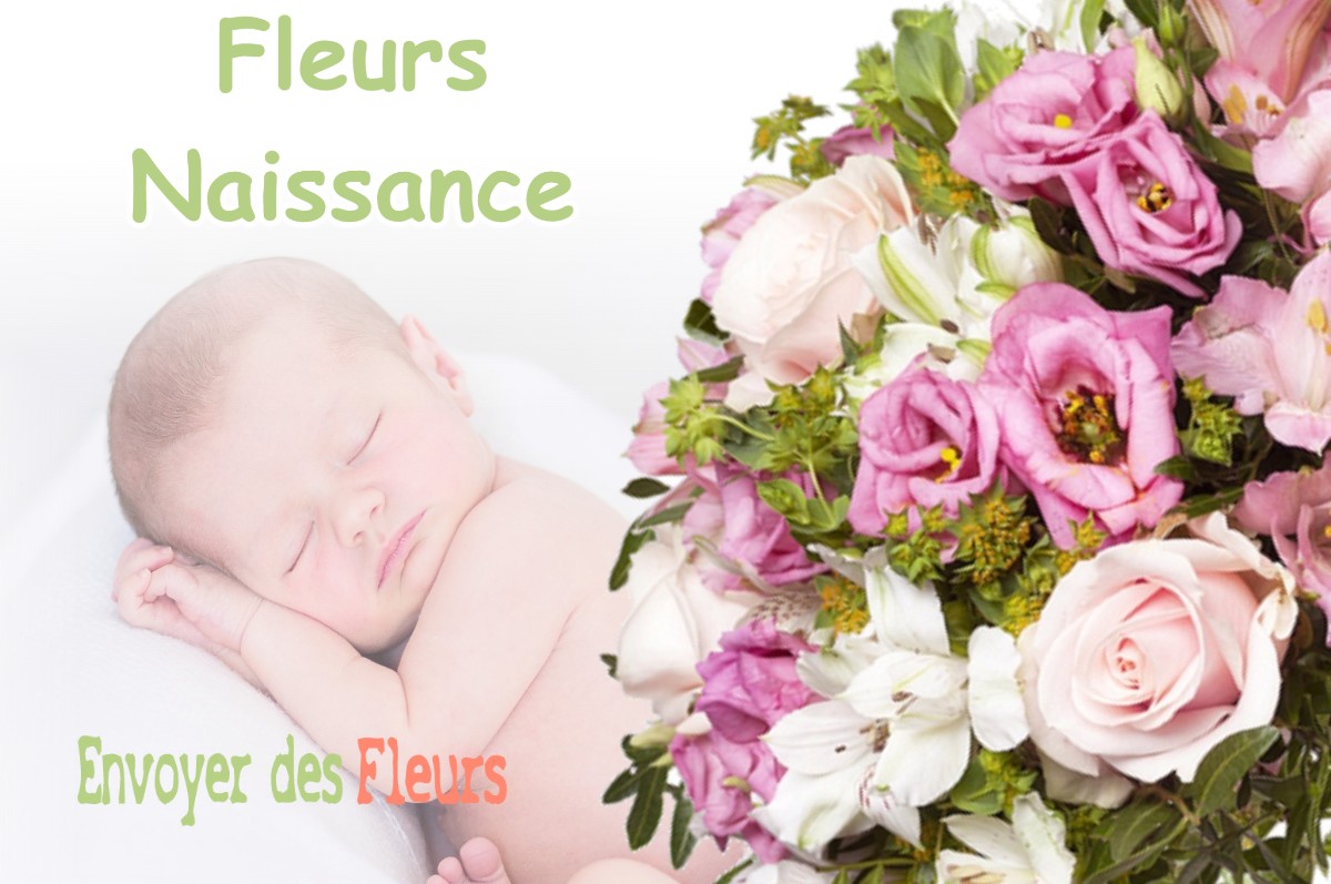 lIVRAISON FLEURS NAISSANCE à LONGCHAUMOIS